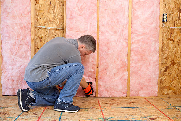 Best Residential Insulation in Botkins, OH